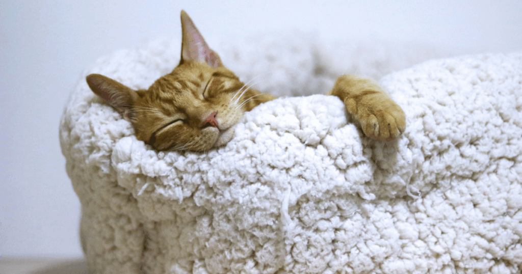 快適な睡眠のための室温設定